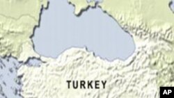 Gok: Çalakîyên Mertalên Zîndî Rawestîyane