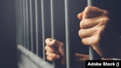 প্রতীকী ছবি