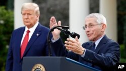 Dr. Anthony Fauci, drejtor i Institutit Kombëtar për Alergjitë dhe Sëmundjet Infektive duke folur në Kopshtin e Trëndafilave të Shtëpisë së Bardhë (AP Photo/Patrick Semansky)
