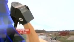 El Mundo al Día