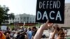 La Coalición por el Sueño Americano planea pedirle al Congreso que apruebe una legislación bipartidista este año que permita a estos inmigrantes, llamados “Dreamers”, continuar trabajando en Estados Unidos.