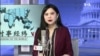 时事经纬(2020年2月15日)