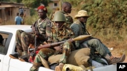Wapiganaji wa kiislamu wa Seleka 