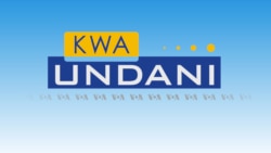 Kwa Undani: Utata unaozunguka makubaliano kati ya serikali ya Kenya na kampuni ya UAE kuhusu usimamizi wa bandari
