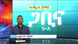 ጋቢና ቪኦኤ