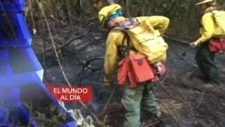 El Mundo al Día
