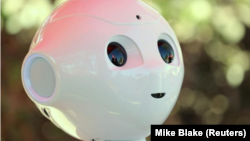 En la imagen de archivo, un proyecto de inteligencia artificial que utiliza un robot humanoide de la empresa francesa Aldebaran en la Universidad Palomar en San Marcos, California (EEUU) el 10 de octubre de 2017. REUTERS/Mike Blake