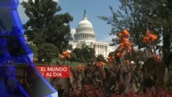 El Mundo al día
