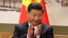 中国国家主席习近平 （资料照片）