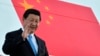 中国领导人习近平出重拳打击贪腐