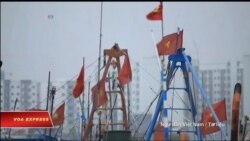 Truyền hình vệ tinh VOA 2/5/2017