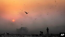 آلودگی هوا مدتهاست شهروندان را در دهلی نو آزار می دهد. 