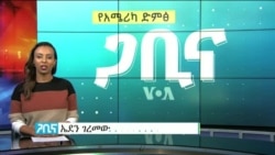 ጋቢና ቪኦኤ