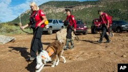 Rescatistas todavía siguen en la búsqueda de desaparecidos durante la inundación repentina en el bosque nacional de Arizona ocurrido el sábado.